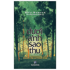 Sách Dưới Ánh Sao Thu - Tiểu Thuyết
