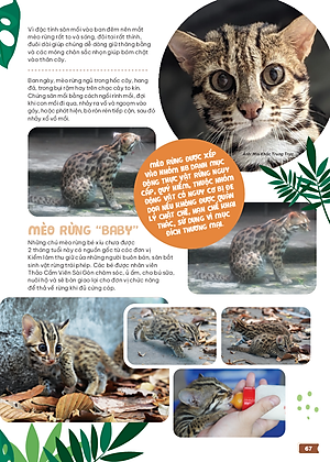 Thảo Cầm Viên Sài Gòn - Kho Báu Trong Lòng Thành Phố