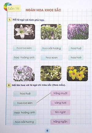 Vui Học Từ Và Câu Lớp 1 - Tập 2 (Bộ Sách Chân Trời Sáng Tạo)
