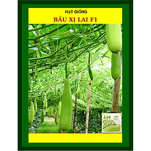 Hạt Giống Bầu Xị Lai F1 2 Gram Rạng Đông