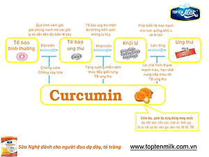 Sữa nghệ curcumin 800g TOPTEN Milk sữa bột cho người bị đau dạ dày tá tràng,phụ nữ sau sinh ,đẹp da
