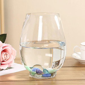 Chậu thuỷ tinh miệng khum chuyên dùng trồng cây thủy sinh, thủy canh, bình nuôi cá để bàn