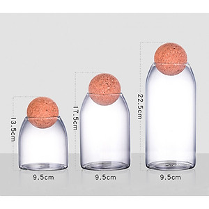 Bình Bảo Quản Thực Phẩm Bằng Thủy Tinh Có Nút Gỗ Kín