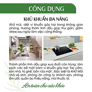Xịt khử mùi đa năng Tinh dầu 24CARE 50ml/100m/250ml - Xịt bề mặt bị dính bẩn do đồ ăn rơi rớt trên bàn ghế, sàn nhà.