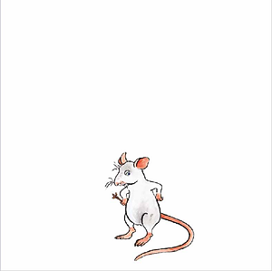 Ehon - Mọt Sách Mogu - Tay Nào Có, Tay Nào Không?