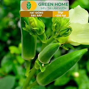 Hạt Giống Đậu Bắp Greenhome, Gói 10gr, Dễ Trồng Quanh Năm, Nảy Mầm Cao, Thu Hoạch Nhanh, Năng Suất Cao T06