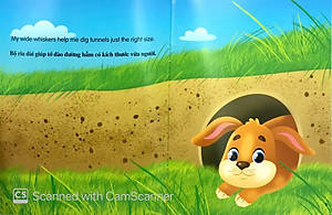 Sách Tớ Là Một Chú Thỏ - Song Ngữ Anh - Việt