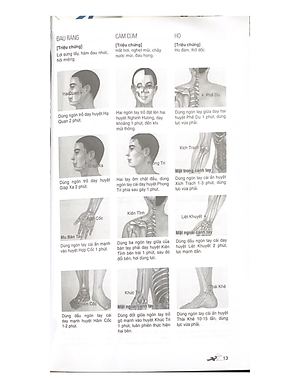 Massage Kinh Lạc Huyệt Vị Toàn Thư (Tái Bản) - Vanlangbooks