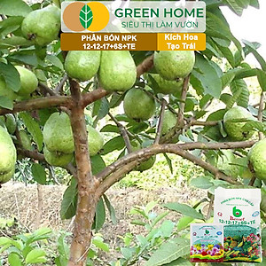 Phân bón NPK 12-12-17-6S+TE Greenhome, Better, Bao 1kg, Tăng Đậu Trái Cây Ăn Củ, Quả