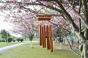 Chuông gió tre trúc phonng thủy may mắn trang trí nhà cửa