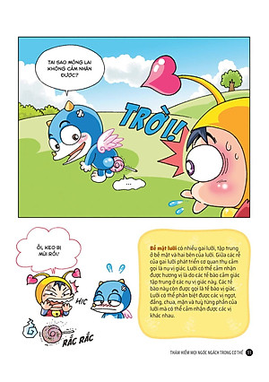 Sách - Quiz! Khoa Học Kì Thú - Thám Hiểm Cơ Thể