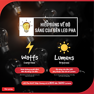 Bộ đèn LED Pha NLMT Điện Quang ĐQ LEDSLN 765 (Solar, IP65, daylight, công suất từ 60W - 300W)