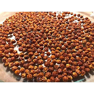 Hạt giống Ớt Peru Mắc Nhất Thế Giới Aji Charapita