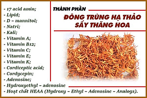 Đông trùng hạ thảo mật ong rừng Phúc Khang 300g - Hũ thủy tinh cao cấp - Công nghệ sấy thăng hoa - Chống lão hóa ,phòng ngừa ung thư ,tim mạch ,bồi bổ cơ thể ...làm quà biếu , quà tặng , bảo vệ sức khỏe