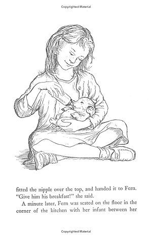 Truyện đọc tiếng Anh - Charlotte's Web