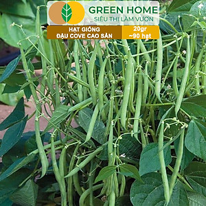 Hạt Giống Đậu Cove Greenhome, Gói 20gr~90 hạt, Dễ Trồng Quanh Năm, Nảy Mầm Cao, Thu Hoạch Nhanh, Năng Suất Cao T07