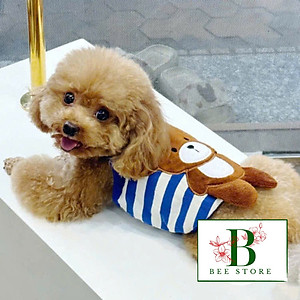 ÁO DÂY PHOM CROPTOP GẤU CUTE CHO THÚ CƯNG CHÓ MÈO