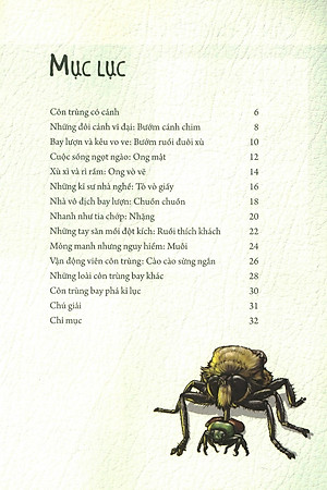 Sách Những Loài Bọ Phá Kỷ Lục - Côn Trùng Có Cánh