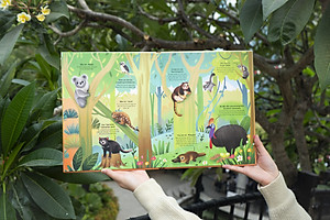 Cuốn sách khổng lồ về động vật hoang dã - Big book of wild animals - Đinh Tị Books