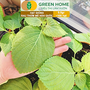 Hạt Giống Rau Thơm Mè Greenhome, Gói 0.5g, Dễ Trồng Quanh Năm, Nảy Mầm Cao, Thu Hoạch Nhanh, Năng Suất Cao R17