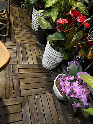 Vỉ Gỗ Lót Sàn Thương Hiệu ANKAN Gu Màu Đen 6 Nan, Ván Sàn Gỗ Vỉ Nhựa, Sân Vườn, Hồ Bơi, Phòng Spa, Siêu Bền, Chịu Nước Tốt, Chống Trơn Trượt, Tiêu Chuẩn Xuất Khẩu