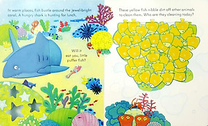 Sách Usborne Peep Inside The Sea (Board book)
