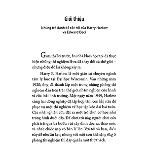 Sách Động Lực Chèo Lái Hành Vi (Tái Bản)