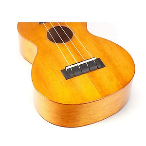 1    Ukulele Concert Mahalo MH2vna