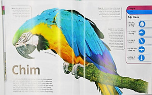 Sách Động Vật - Bách Khoa Thư Hình Ảnh Về Các Loài Vật Trên Trái Đất