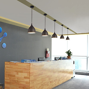 Đèn thả SISOR hiện đại, cao cấp trang trí nội thất độc đáo D250 (mm) - kèm bóng LED chuyên dụng.