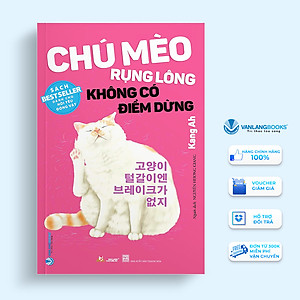 Chú Mèo Rụng Lông Không Có Điểm Dừng