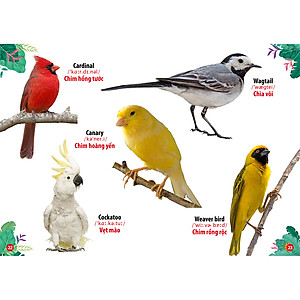 Trọn Bộ Từ Điển -Thư Viện Hình Ảnh Song Ngữ Đầu Tiên Của Bé ( bộ 8 cuốn)