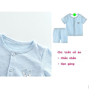 Bộ cộc tay cho bé trai gái sơ sinh quần áo sơ sinh mặc hè hàng Quảng Châu cotton xịn xuất khẩu từ 4-14kg – BCT06