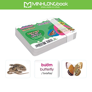 Sách Thẻ Flashcard Theo Phương Pháp Glenn Doman - Thế Giới Quanh Em: Côn Trùng - Bò Sát - Lưỡng Cư