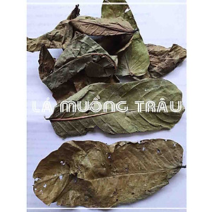 Lá Muồng Trâu khô đóng gói 1kg
