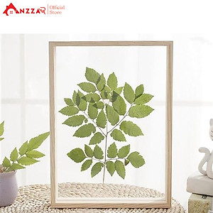 Khung ảnh để bàn nhiều kích thước, khung ảnh trong suốt Anzzar loại 2.5cm