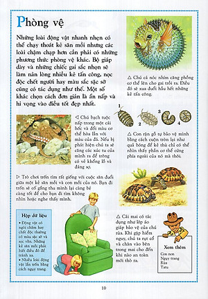 Sách Bách Khoa Động Vật Cho Trẻ Em