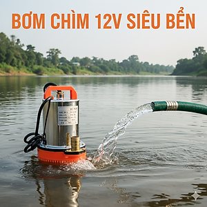 Máy Bơm Chìm 12V Lõi Đồng – Chạy Bình Ắc Quy, Bơm Nhanh, Bền Bỉ