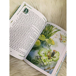 Dế mèn phiêu lưu ký - Bản bìa cứng