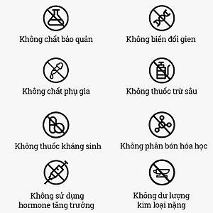 SỮA TƯƠI TIỆT TRÙNG VINAMILK 100% ORGANIC KHÔNG ĐƯỜNG - HỘP GIẤY 1L