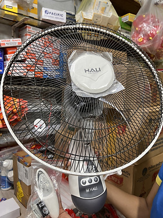 Quạt treo tường Hali (CÓ REMOTE) TR1 (Hàng chính hãng) Màu Ngẫu