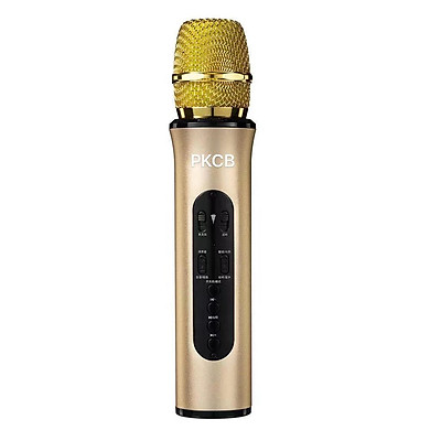Micro Hát Karaoke Bluetooth Kết Nối Không Dây Cao Cấp Âm Thanh Chân Thật Pkcb -Hàng Chính Hãng - Link Mua
