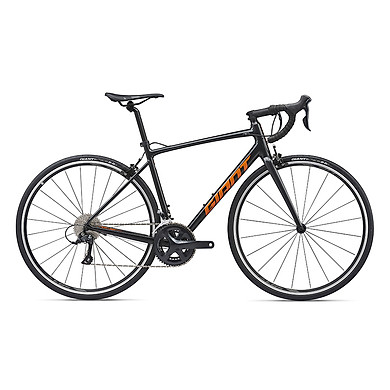 giant contend 1 2020