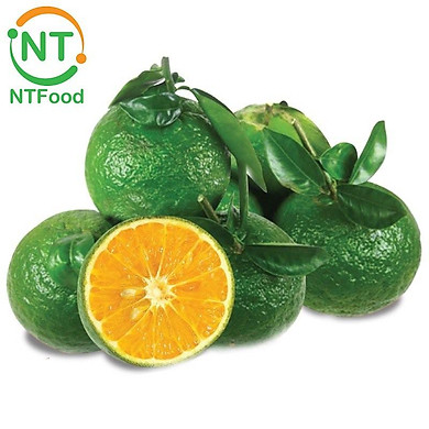 Cam Sành Miền Tây mọng nước – Nhất Tín Food – – top1shop