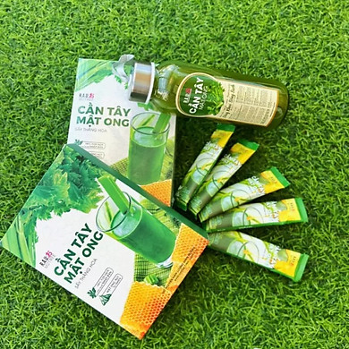 4 Hộp Cần Tây Mật Ong MOTREE Nhật Bản (Liệu Trình 1 Tháng) Giúp Giảm Cân, Hết Mụn, Sáng Da, Đẹp Dáng, Đào Thải Mỡ Thừa, Thanh Lọc Cơ Thể Tặng Kèm…