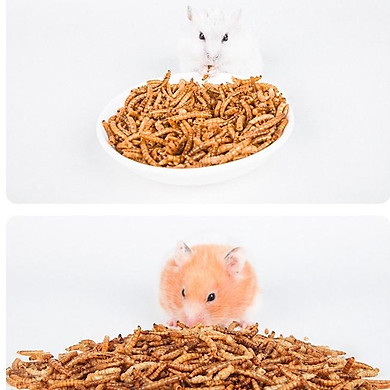 Sâu Thái Sấy Bơ Túi Zip 20G (Bear) - Vỗ Béo &Amp; Bổ Sung Canxi Protein Cho Hamster , Cần Thiết Cho Hamsters Bầu &Amp; Sau Sinh - Link Mua
