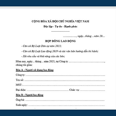Mua Mẫu Hợp Đồng Lao Động Đúng Chuẩn Quy Định Pháp Luật + Bản Hướng Dẫn Của  Luật Sư Tại Lhb Lawfirm | Tiki