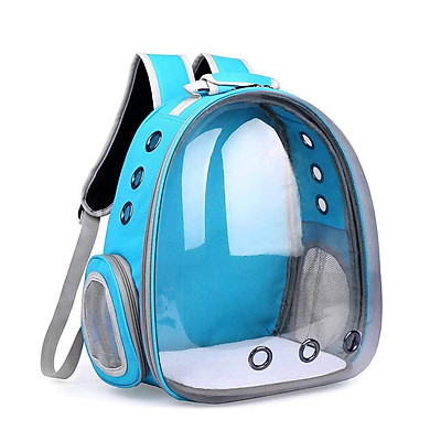 Amazon.com : Cat Backpack, Bubble Pet Carrier Backpack Airline Approved, Cat  Bookbag w/Cat Toy, Small Animal Travel Carrying Bag for Puppy Dog Kitten  Bunny Bird Chicken Guinea Pig Hiking Walking Outdoor Use :