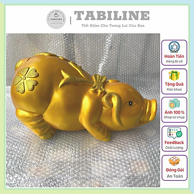 Lợn đất heo đất ống heo tiết kiệm tiền TABILINE cánh tiên thiền thần 2 vàng  đồng LD20  Lazadavn
