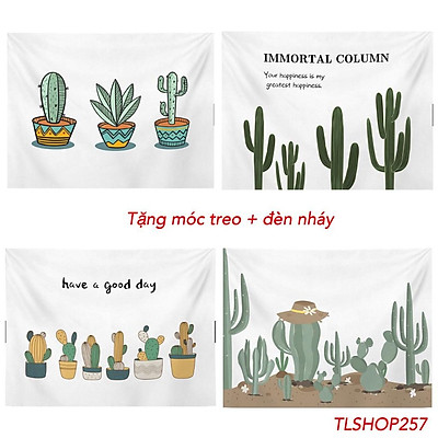 Xương rồng  Loài cây cảnh dễ thương và độc đáo